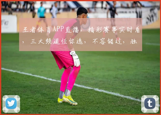 王者体育APP直播，精彩赛事实时看，三大频道任你选，不容错过，独家精彩呈现